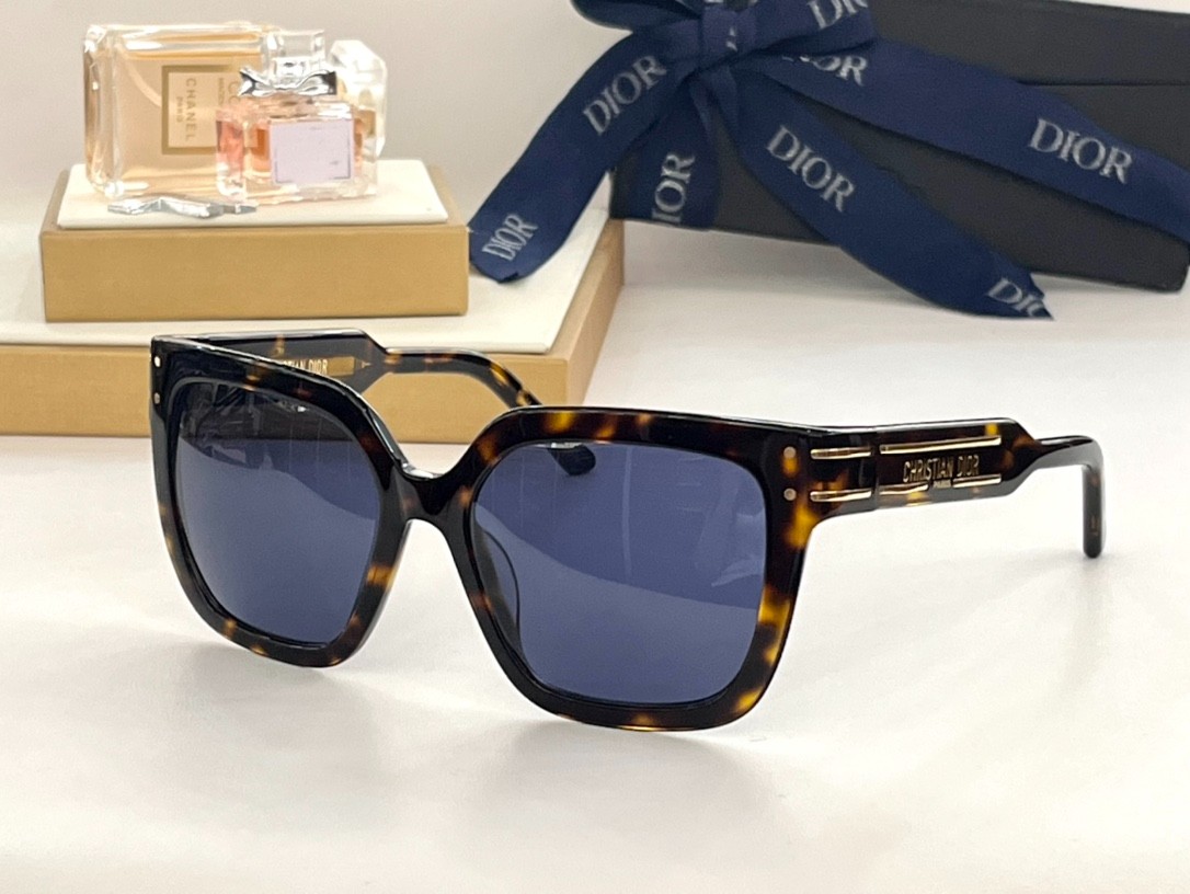 DIOR 02 glasses