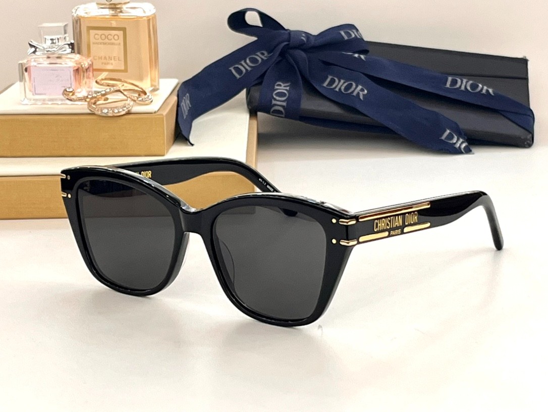 DIOR 02 glasses