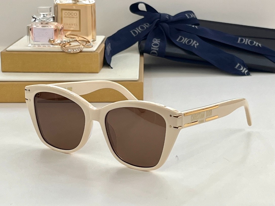 DIOR 02 glasses