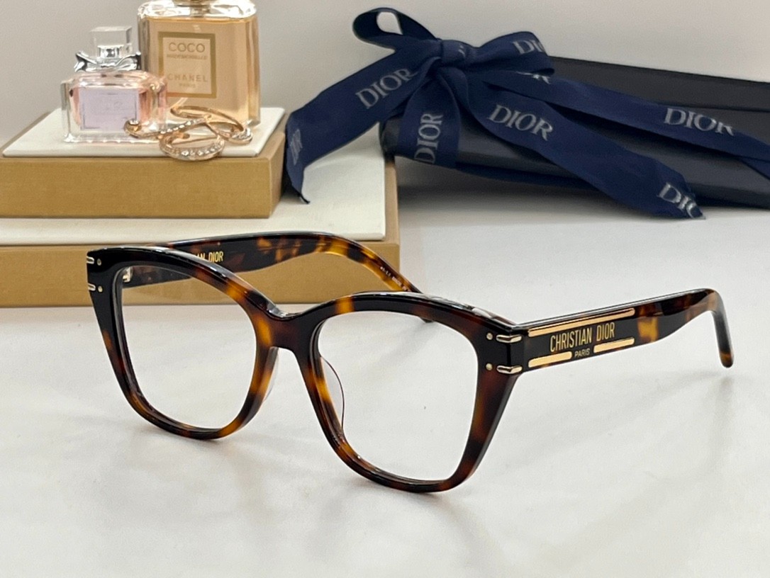 DIOR 02 glasses