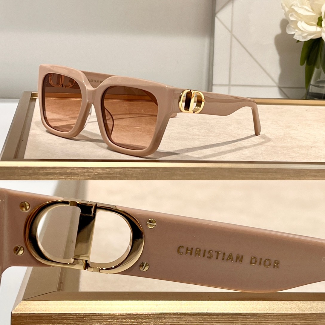 DIOR 02 glasses
