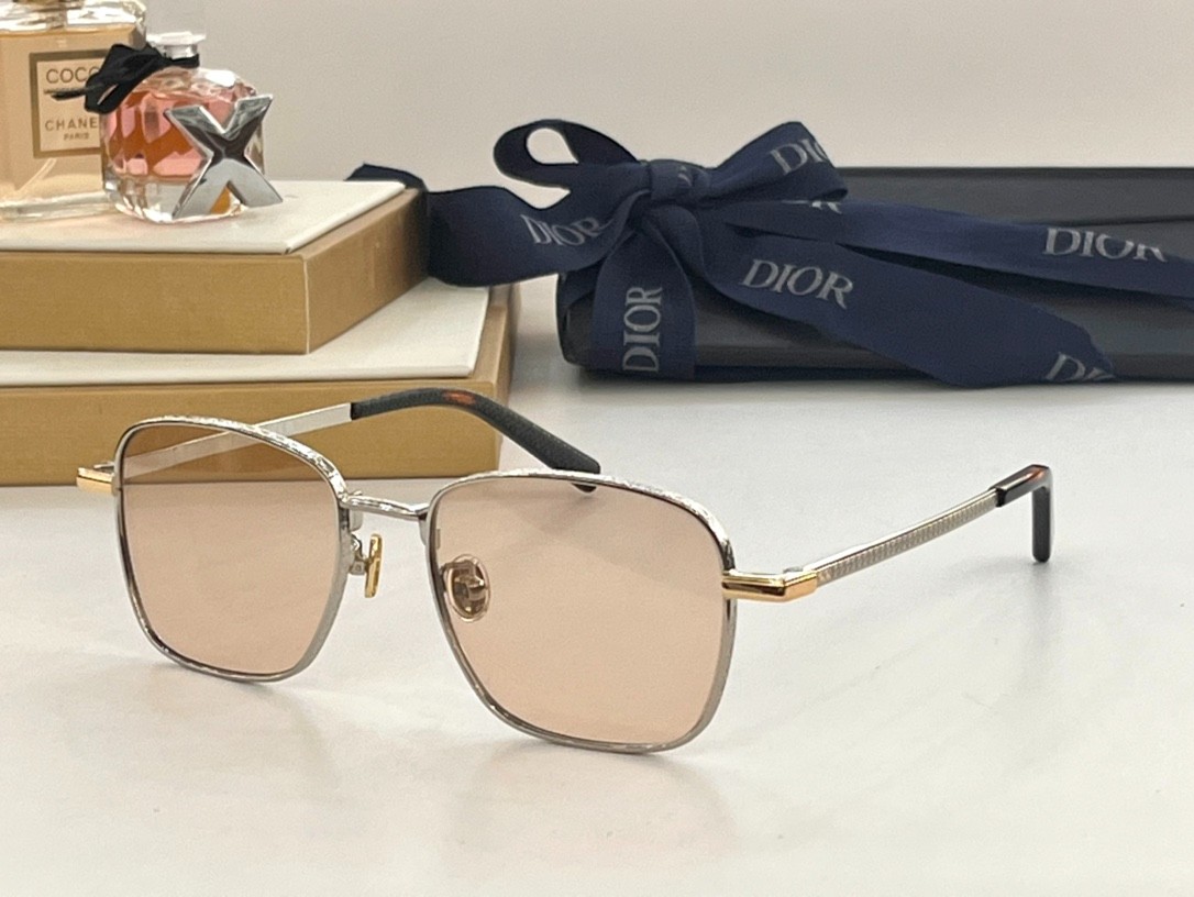DIOR 02 glasses