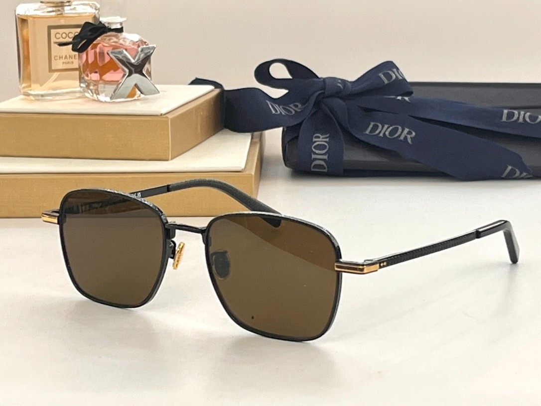 DIOR 02 glasses