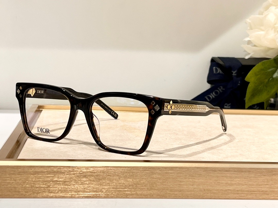DIOR 02 glasses