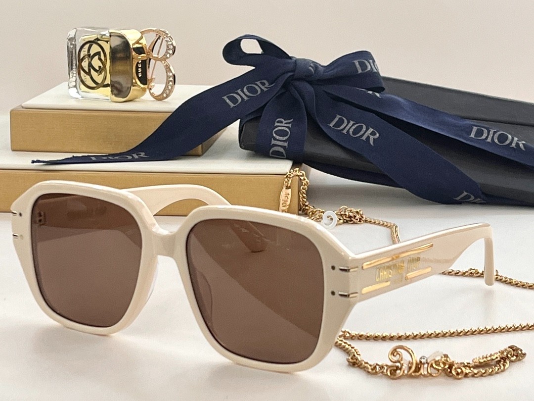 DIOR 02 glasses