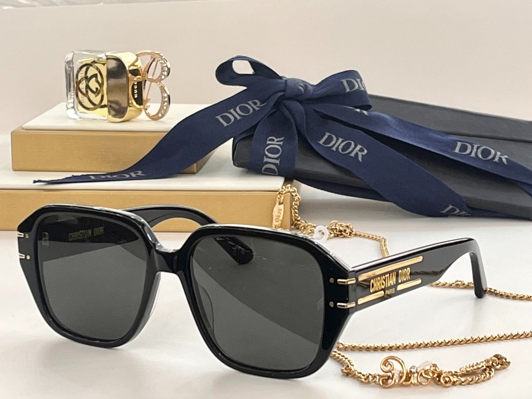 DIOR 02 glasses