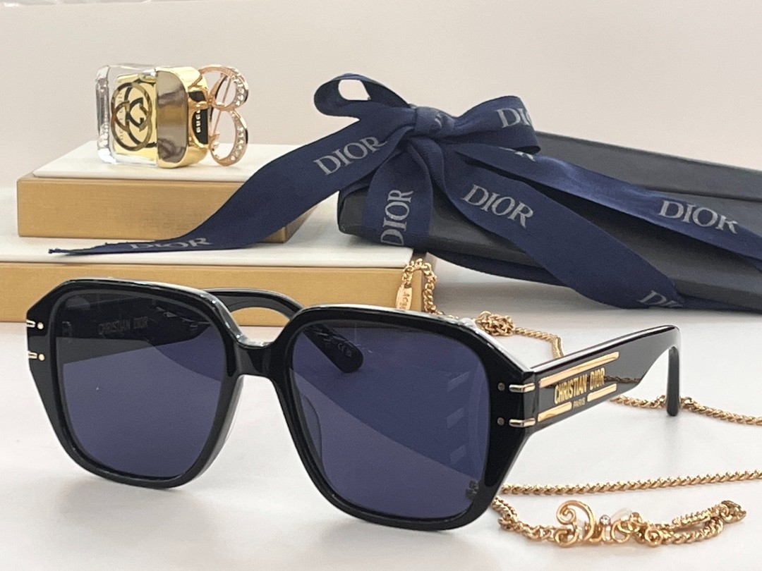 DIOR 02 glasses