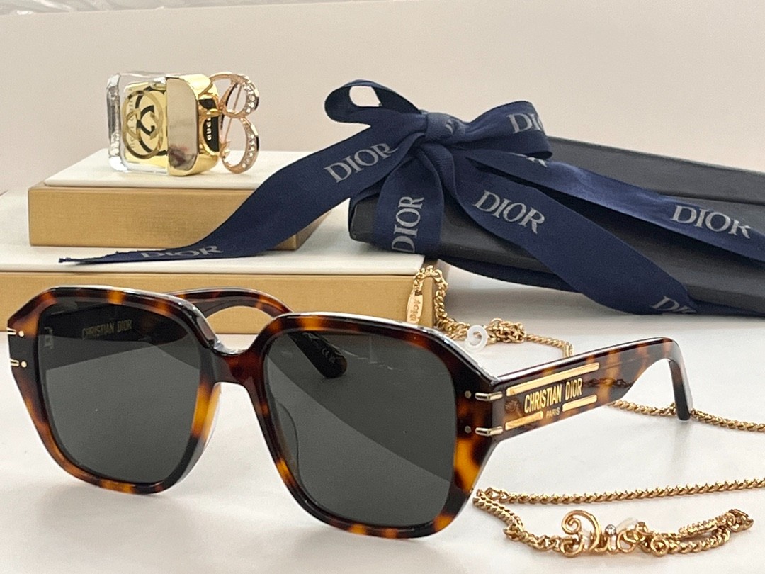 DIOR 02 glasses
