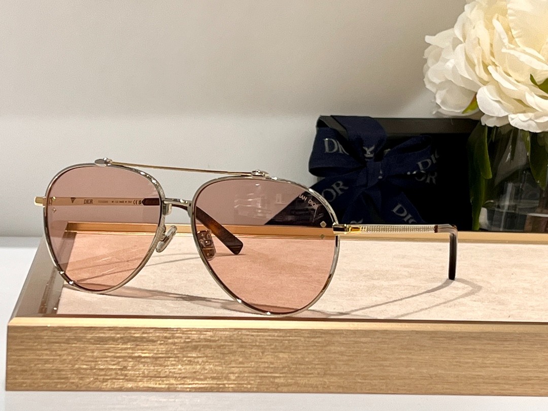 DIOR 02 glasses