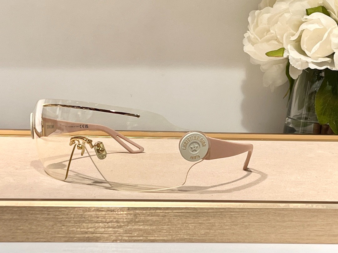 DIOR 02 glasses