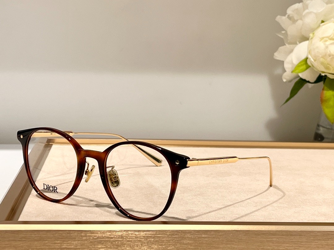 DIOR 01 glasses