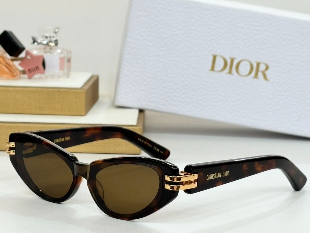 DIOR 01 glasses
