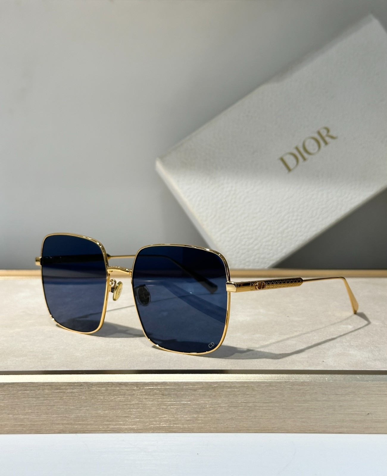 DIOR 01 glasses