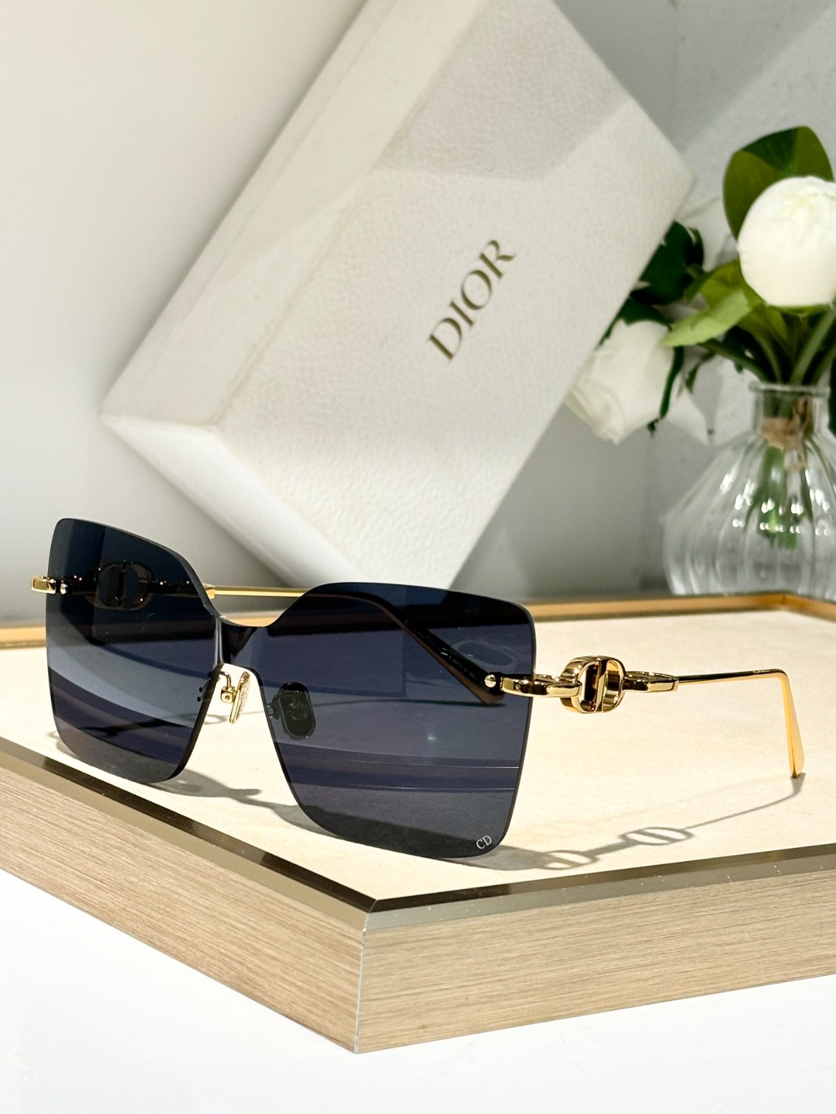 DIOR 01 glasses