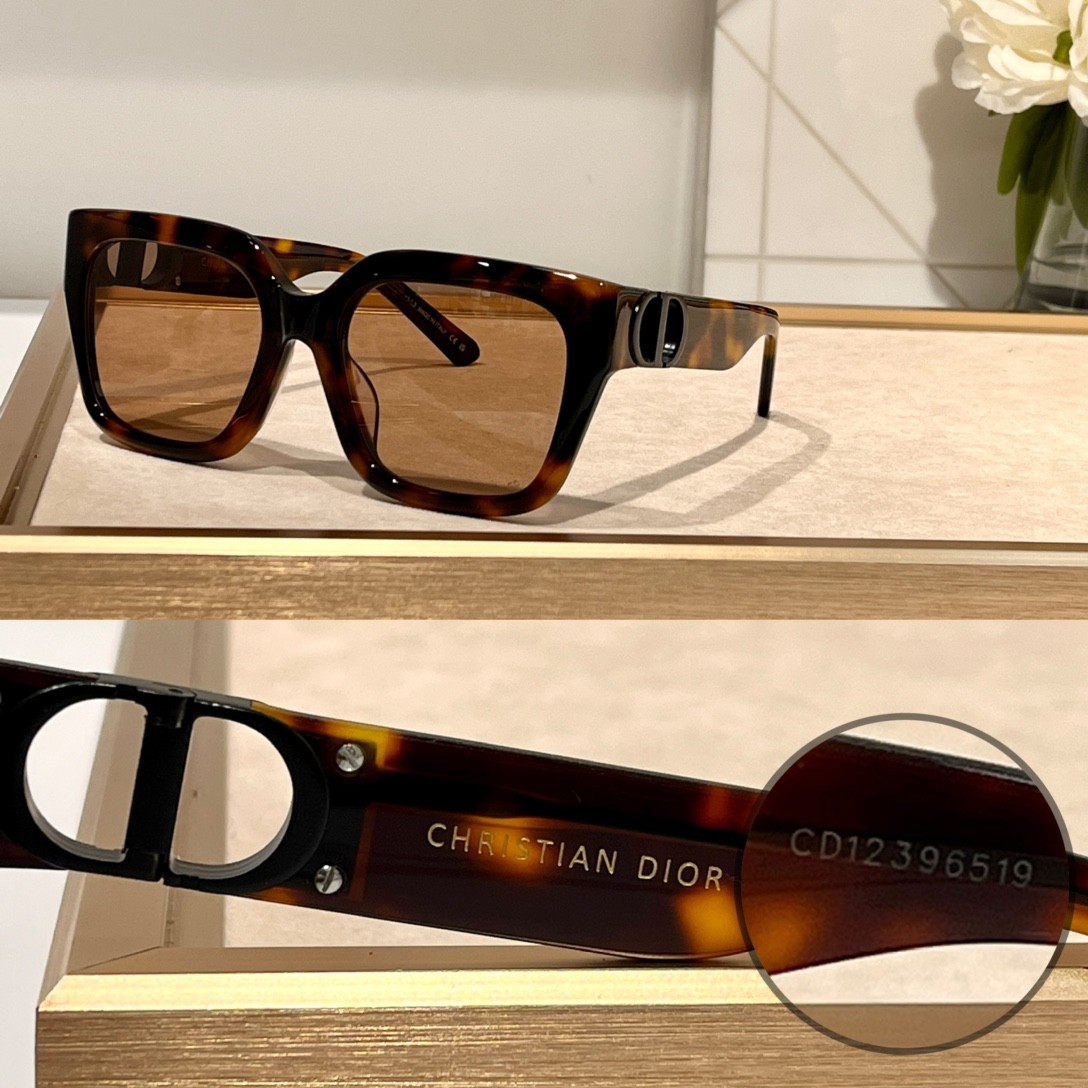 DIOR 01 glasses