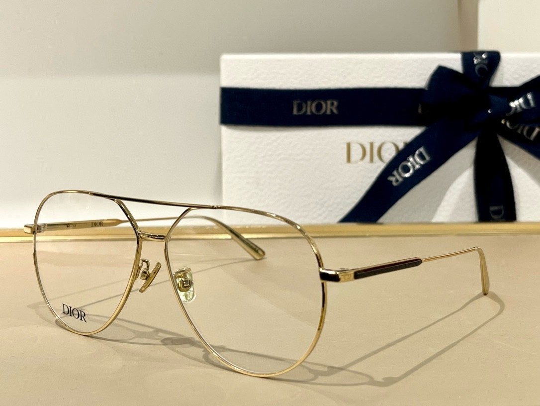 DIOR 01 glasses