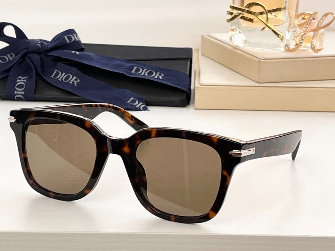 DIOR 01 glasses