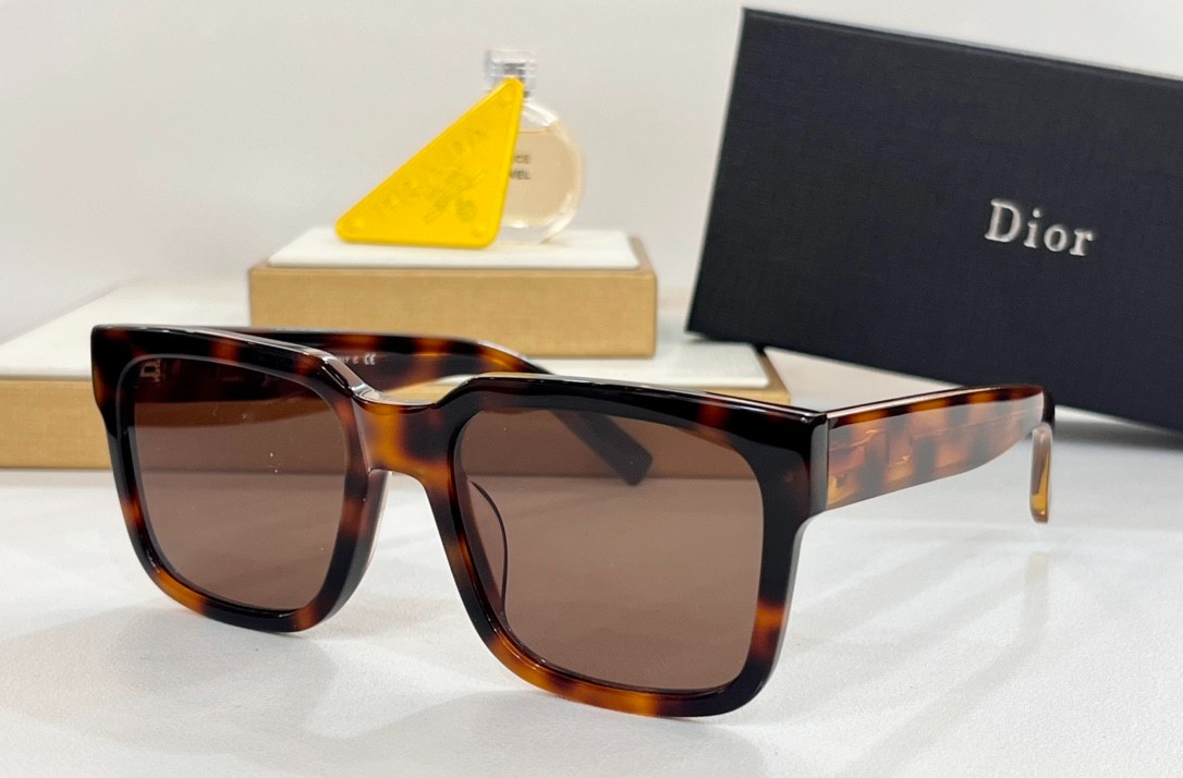 DIOR 01 glasses