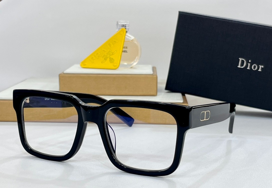 DIOR 01 glasses