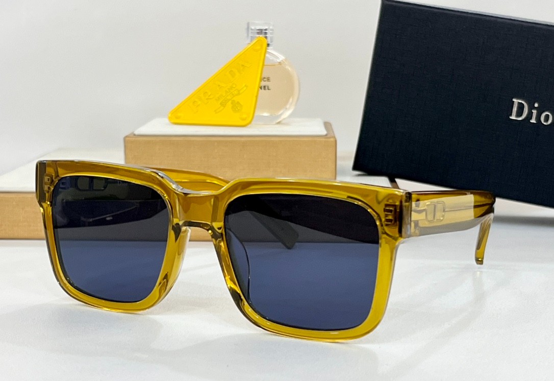 DIOR 01 glasses