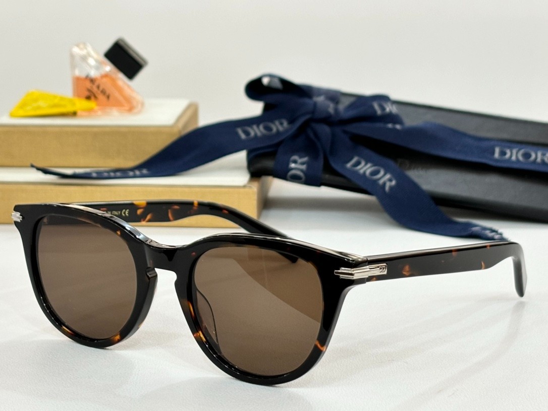 DIOR 01 glasses