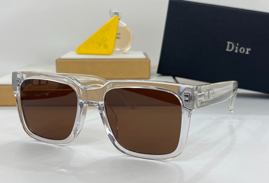 DIOR 01 glasses