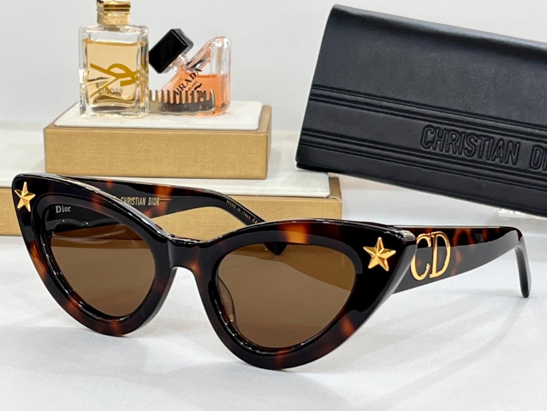 DIOR 01 glasses