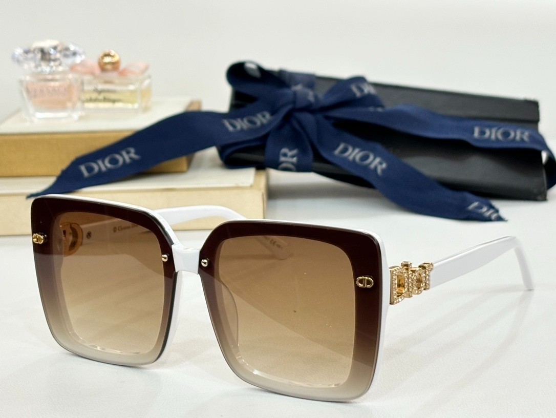 DIOR 01 glasses