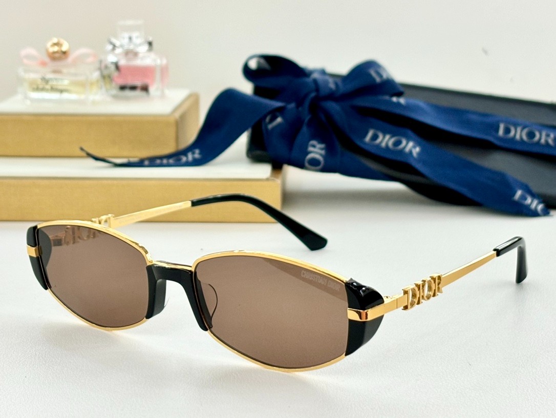 DIOR 01 glasses
