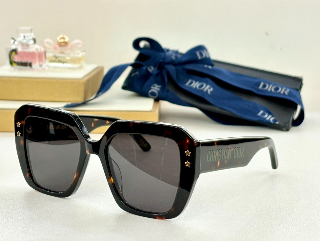 DIOR 01 glasses