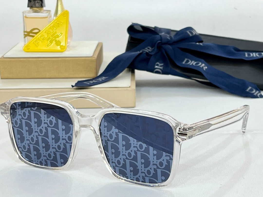 DIOR 01 glasses