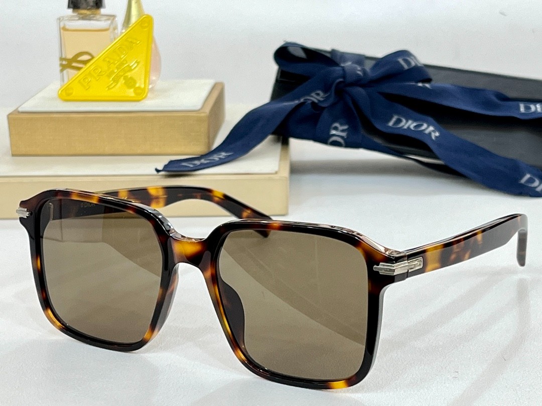 DIOR 01 glasses