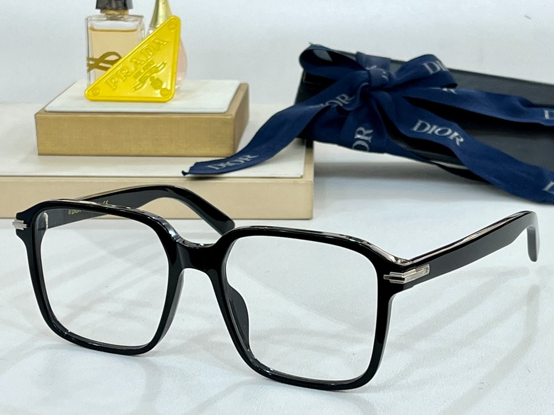 DIOR 01 glasses