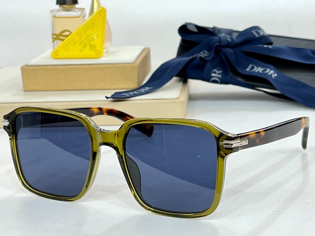 DIOR 01 glasses