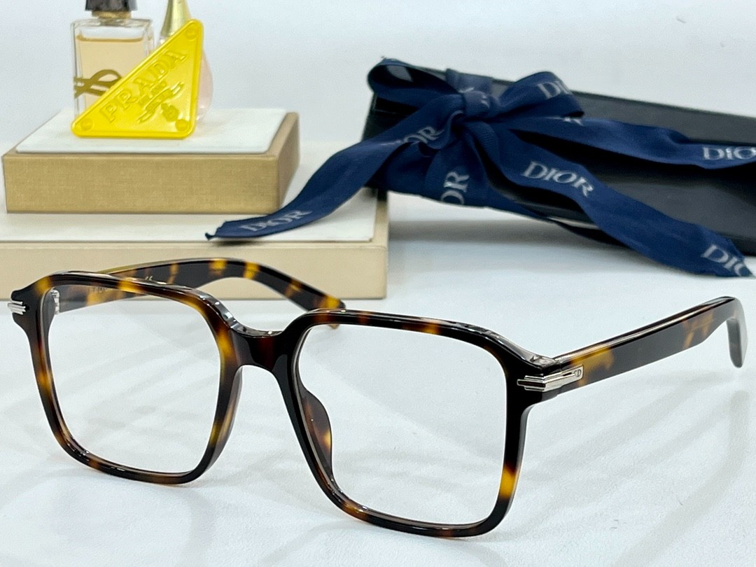 DIOR 01 glasses