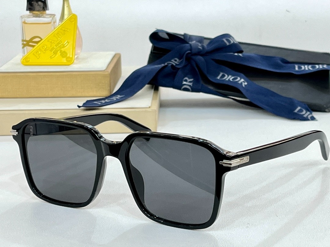 DIOR 01 glasses