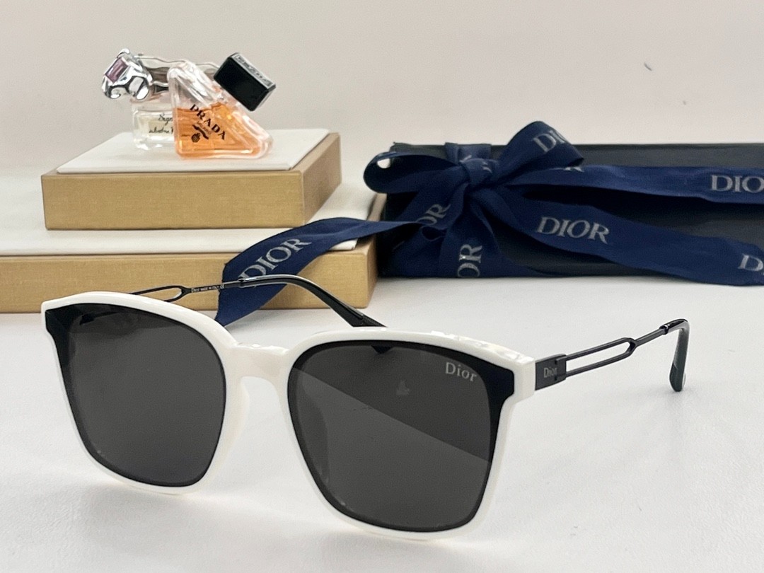 DIOR 01 glasses