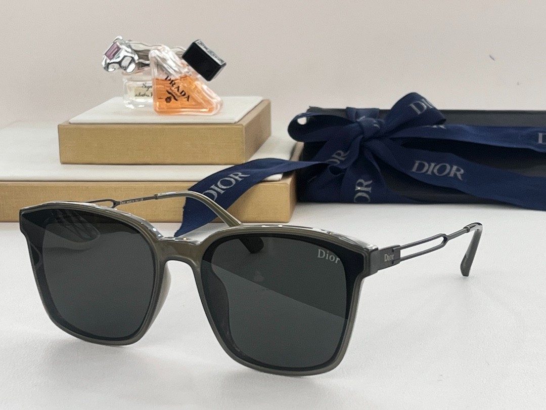 DIOR 01 glasses