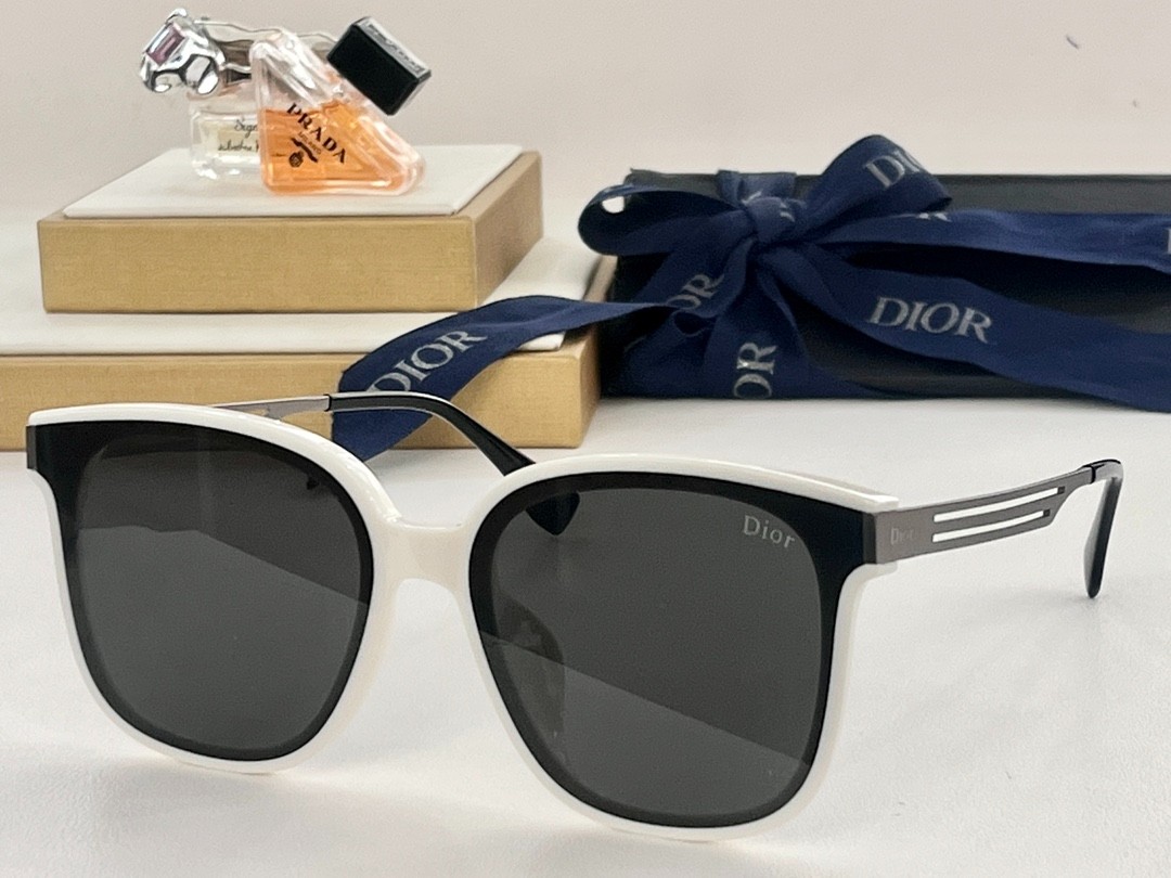 DIOR 01 glasses