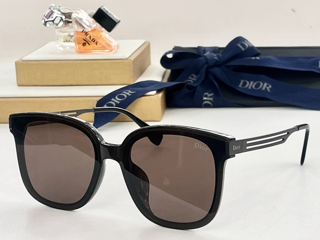 DIOR 01 glasses