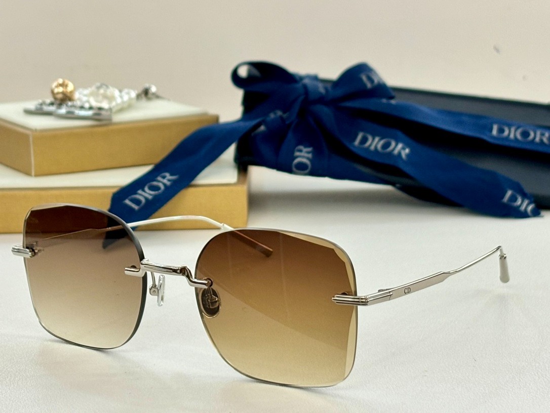 DIOR 01 glasses