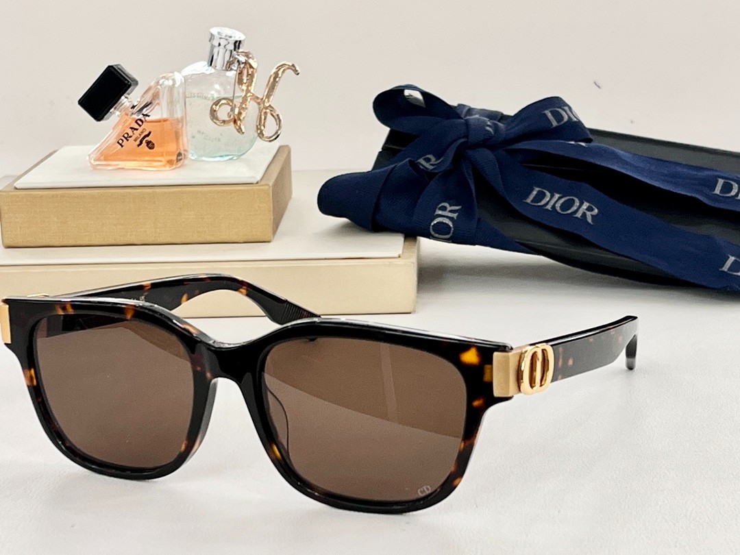 DIOR 01 glasses