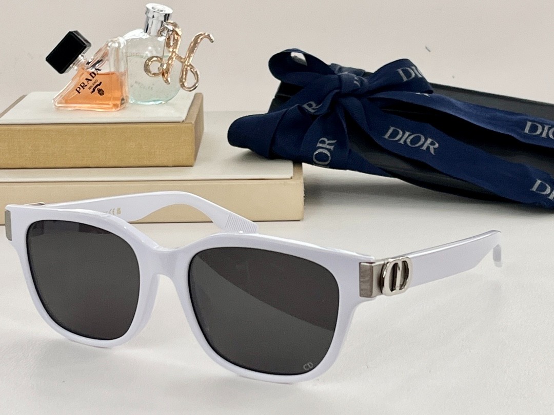 DIOR 01 glasses