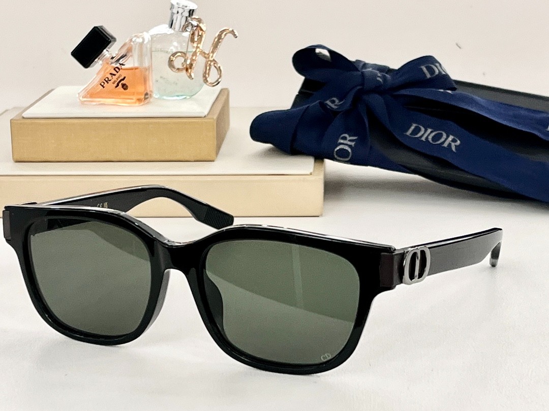 DIOR 01 glasses