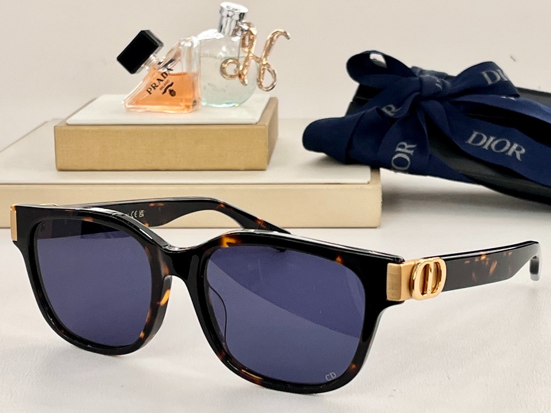 DIOR 01 glasses