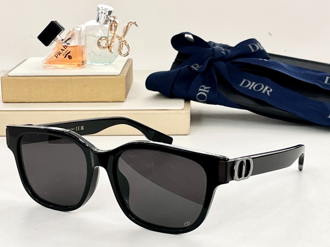 DIOR 01 glasses