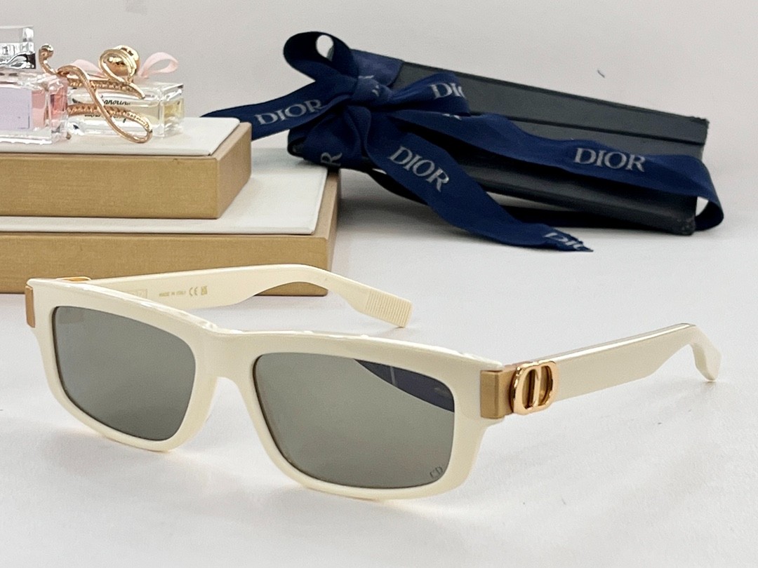 DIOR 01 glasses