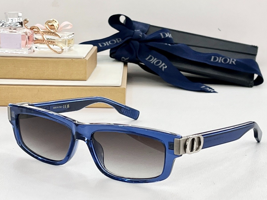 DIOR 01 glasses