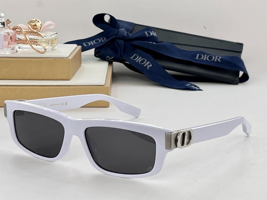 DIOR 01 glasses