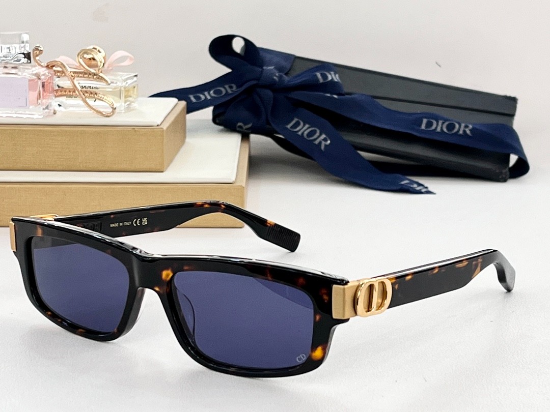 DIOR 01 glasses